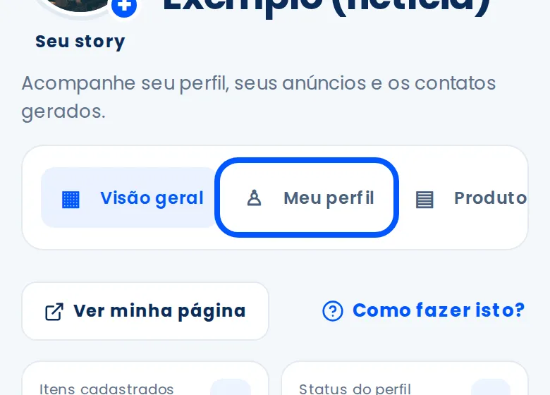 Item Meu perfil contornado no menu do painel