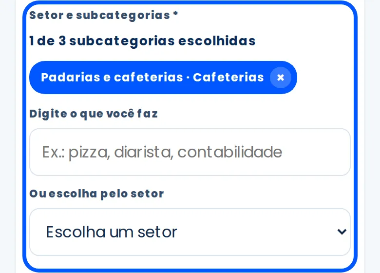 Escolha de setor e subcategorias contornada