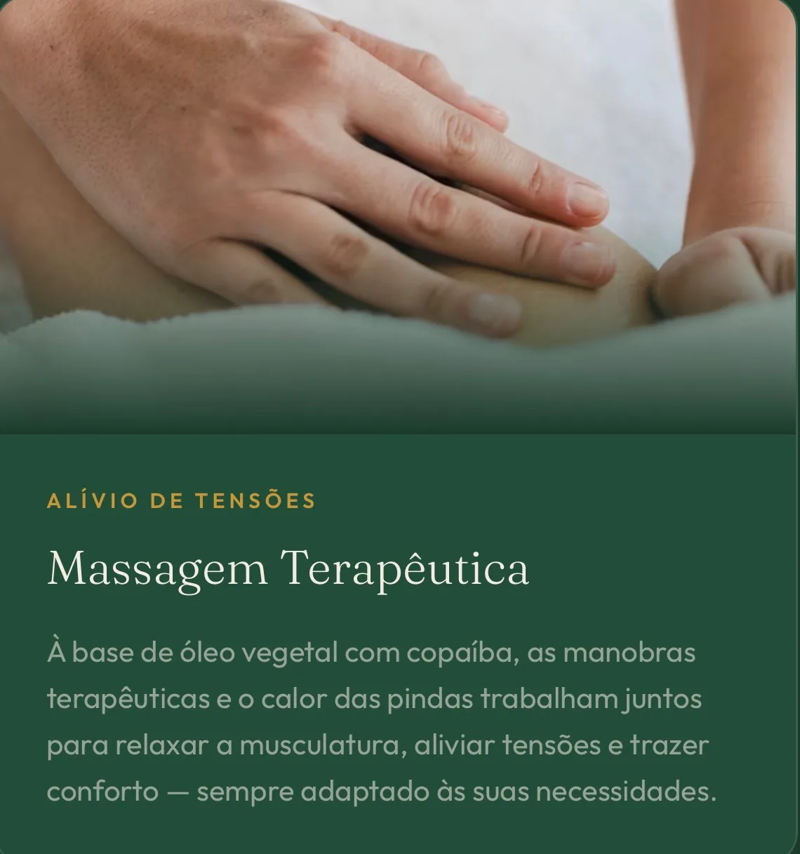 Foto de Terapêutica à base vegetal para alívio de dores pontuais